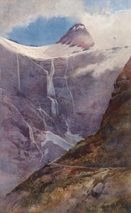 Nový Zéland: (barevná litografie) od Frank H Wright