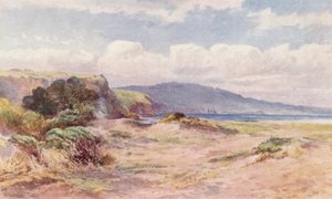 Nový Zéland: Na pláži v Ngunguru (barevná litografie) od Frank H Wright