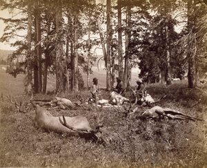 Lovci losů, Yellowstone, cca 1880 (albumenový stříbrný tisk)