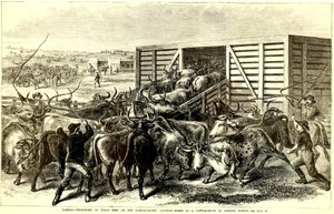 Cattle Chute v Abilene, Kansas, c. 1871 (rytina)
