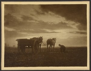  od Frank Meadow Sutcliffe