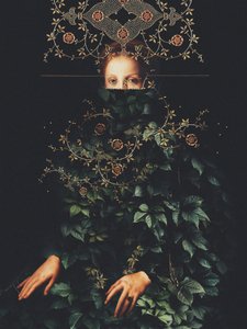 „Patience II“ od Franka Motha