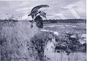 Jack Harnser-Heron od Frank Southgate