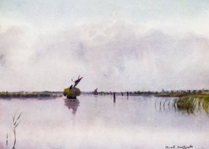 Norfolk Broads: Hay-Boat na Hickling Broad