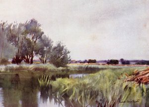 Norfolk Broads: Marsh Hay - Carting na Yare od Frank Southgate