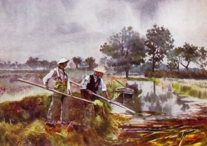 Norfolk Broads: Marshmen Weed-Lifting od Frank Southgate