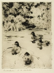 Malí modři od Frank Weston Benson