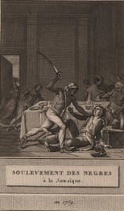 Povstání černých otroků na Jamajce v roce 1760, 1800. od François Anne David