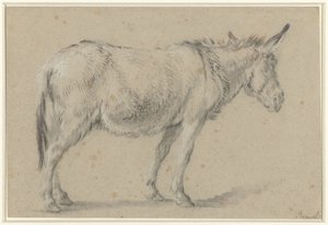 Stojící osel, čelem doprava od François Boucher (possibly)