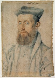 Portrét Mellin de Saint-Gelais (nebo Saint Gelais, Saint Gelays, Saint Gelays, Saint-Gelais, Sainct Gelais) (1495-1558), francouzský básník. Kresba krví a černým kamenem od Cloueta Francoise (1515-1572), kolem roku 1500. Chantilly, Musee Conde od François Clouet
