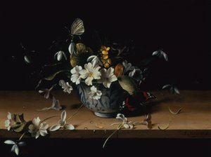 Květiny v modrobílé čínské porcelánové misce s červeným admirálským motýlem na dřevěné římse (olej na desce) od François Habert