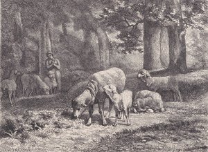 Ovce, z Magasin Pittoresque, 1862. od François Rouget