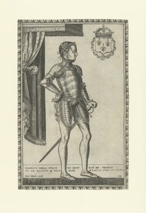 Portrét francouzského krále Karla IX. 1550-1574, 60. léta 16. století od Frans Huys