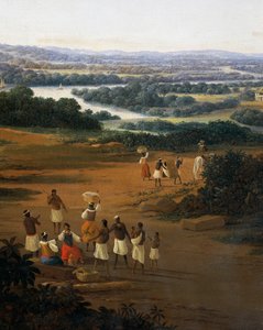 Vesnice Serinhaem v Brazílii aneb domov pěstitele cukrové třtiny v Brazílii (olej na plátně) od Frans Post