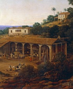Mlýny na cukrovou třtinu v Brazílii, Frans Post (1612-1680), olej na plátně