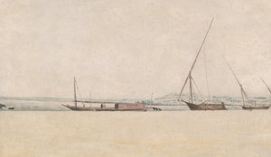 Tropická pobřežní krajina, 17. století. od Frans Post.