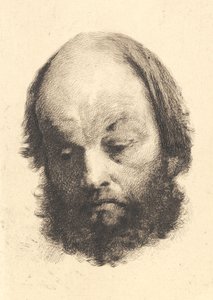 Černovous, Garibaldi od Frans Schwartz