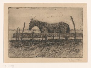 Kůň od Frans Smissaert (signed by artist)