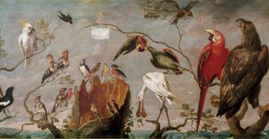 Ptačí koncert Malba od Franse Snyderse (Snijders) (1579-1657) Madrid 17. století, muzeum Prado