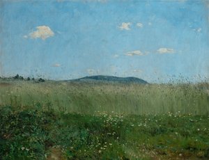Vzduch domova od Frantisek Kavan