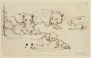 Vrčící Sundapanthers od Franz Barwig d. Ä.