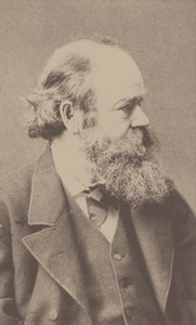 Portrét skladatele Roberta von Hornsteina 1833-1890. od Franz Hanfstaengl