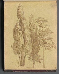 Album s Pohledy na Řím a okolí, Krajinářské studie, strana 15a: Stromy od Franz Johann Heinrich Nadorp