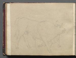 Album s Pohledy na Řím a okolí, Krajinářské studie, strana 51b: Studie u býka. od Franz Johann Heinrich Nadorp