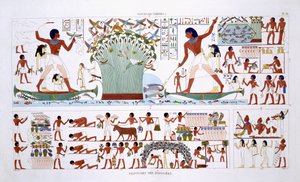 Příprava jídla pro mrtvé, ze vzácného záznamu fresek z Théb, zaznamenaného v letech 1819–1822 při jeho druhé návštěvě Egypta Fredericem Cailliaudem (1787–1869), barva litho