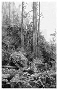 Rokle v Blue Mountains, Austrálie, 1886.