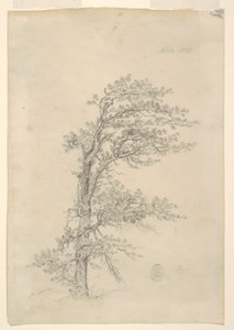 Pitch Pine od Frederic Edwin Church