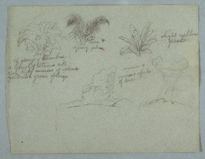 Bambusy, réva a mladá palma, rostlina a dvě scény deště padající z mraků nad hřebeny, Rio Magdalena, Kolumbie od Frederic Edwin Church