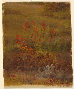 Botanické studie od Frederic Edwin Church