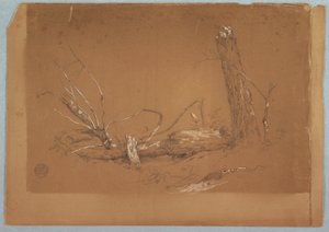 Kresba, Zlomený mrtvý strom, 1855-65 od Frederic Edwin Church