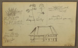 Kresba, Pevnost; Verso: Botanické skici, Dům, 1857 od Frederic Edwin Church