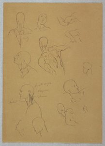 Kresba, anatomické studie, 1865-70 od Frederic Edwin Church