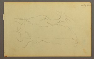 Kresba, Základna stromu, balvany, 1844 od Frederic Edwin Church