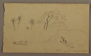 Kresba, botanické skici, figura, květen-srpen 1865 od Frederic Edwin Church