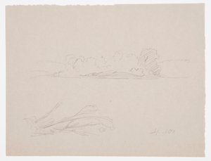 Kresba, Botanické skici: krajina, stromy na pobřeží, září 1876 od Frederic Edwin Church