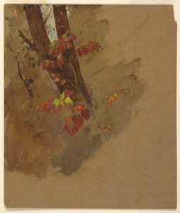 Kresba, botanické studie, 1860-70 od Frederic Edwin Church