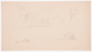 Kresba, Botanické skici: strom, stromy na břehu, září 1876 od Frederic Edwin Church