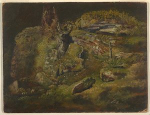 Kresba, Balvan v lese, asi 1845 od Frederic Edwin Church