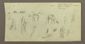 Kresba, Studie velbloudů, 2. března 1868 od Frederic Edwin Church
