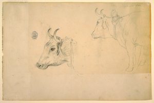 Kresba, dobytek, září 1844 od Frederic Edwin Church