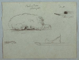 Kresba, strom Ceiba u Momposu, kanoe Champan, stromy a částečný člun, Rio Magdelena, Kolumbie, 1853, pravděpodobně květen od Frederic Edwin Church