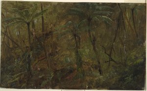 Kresba, V lesích Jamacie, Západní Indie, 1865 od Frederic Edwin Church
