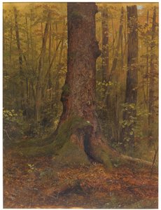 Kresba, V lese, pravděpodobně Maine, 1850-60 od Frederic Edwin Church