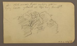 Kresba, krajina, domy; Verso: vrchol stromu, únor 1885 od Frederic Edwin Church