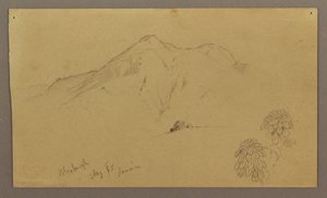 Kresba, Krajina, rostliny, Bloxburgh, srpen 1865 od Frederic Edwin Church
