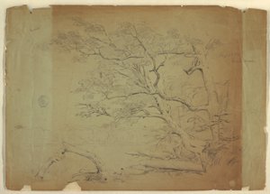 Kresba, Krajina se stromy a potokem [], ostrov Grand Manan, Kanada, září 1851 od Frederic Edwin Church